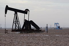 Аналитик оценил возможность отказа Индии от российской нефти