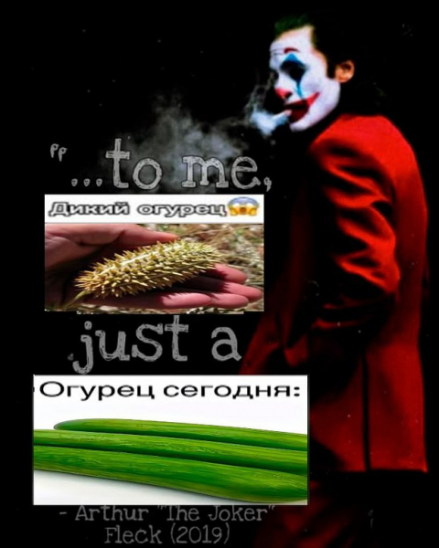 &laquo;Как будто мозг почесали&raquo;. Повсюду в интернете &mdash; дикий огурец. Что значат эти странные мемы и почему их так полюбили?