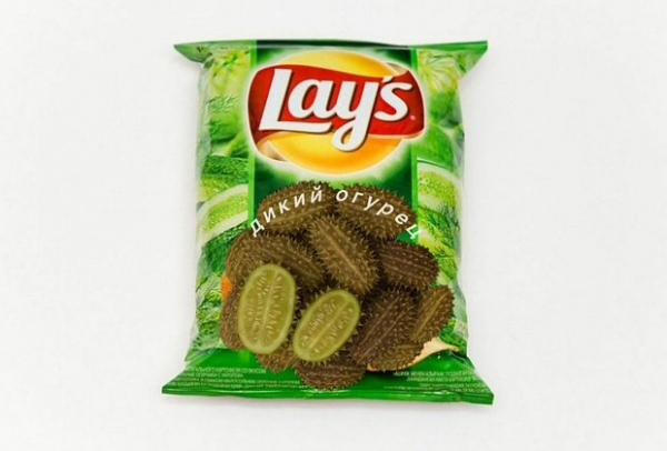 &laquo;Как будто мозг почесали&raquo;. Повсюду в интернете &mdash; дикий огурец. Что значат эти странные мемы и почему их так полюбили?