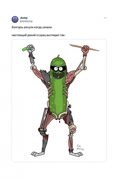 &laquo;Как будто мозг почесали&raquo;. Повсюду в интернете &mdash; дикий огурец. Что значат эти странные мемы и почему их так полюбили?