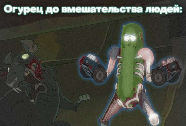 &laquo;Как будто мозг почесали&raquo;. Повсюду в интернете &mdash; дикий огурец. Что значат эти странные мемы и почему их так полюбили?