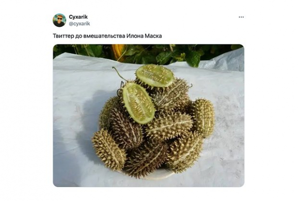 &laquo;Как будто мозг почесали&raquo;. Повсюду в интернете &mdash; дикий огурец. Что значат эти странные мемы и почему их так полюбили?