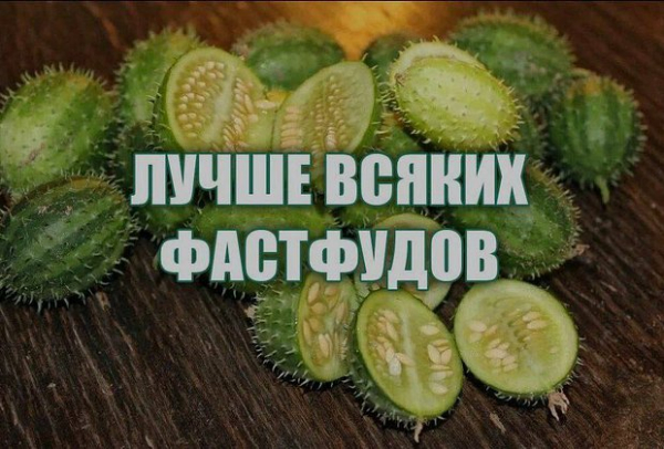 &laquo;Как будто мозг почесали&raquo;. Повсюду в интернете &mdash; дикий огурец. Что значат эти странные мемы и почему их так полюбили?