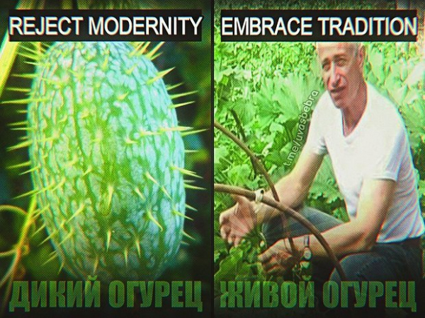 &laquo;Как будто мозг почесали&raquo;. Повсюду в интернете &mdash; дикий огурец. Что значат эти странные мемы и почему их так полюбили?