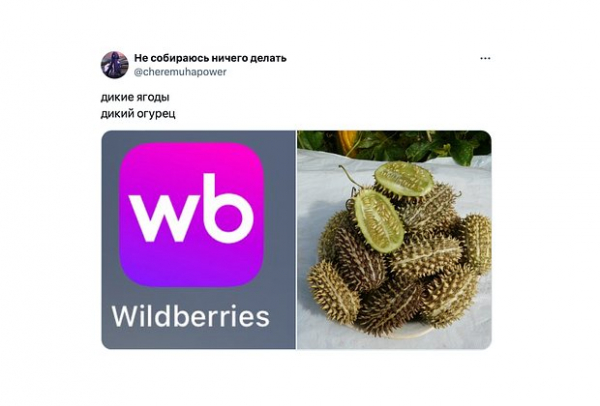 &laquo;Как будто мозг почесали&raquo;. Повсюду в интернете &mdash; дикий огурец. Что значат эти странные мемы и почему их так полюбили?