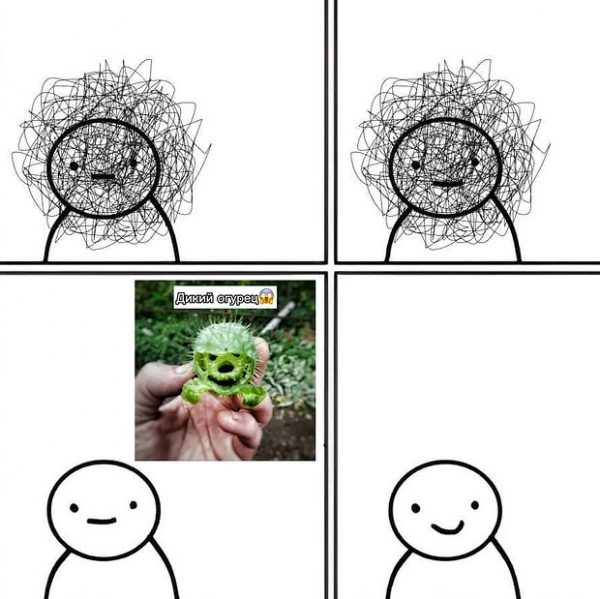 &laquo;Как будто мозг почесали&raquo;. Повсюду в интернете &mdash; дикий огурец. Что значат эти странные мемы и почему их так полюбили?