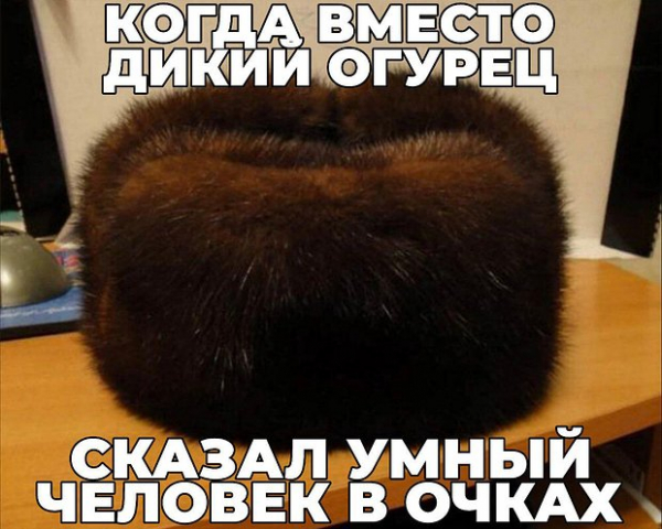 &laquo;Как будто мозг почесали&raquo;. Повсюду в интернете &mdash; дикий огурец. Что значат эти странные мемы и почему их так полюбили?