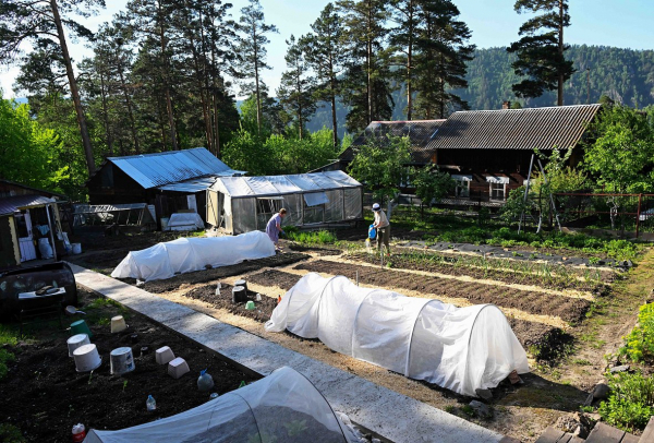 Молодые россияне бросились скупать дачи. Почему они внезапно полюбили их?
