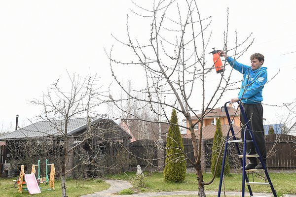 Молодые россияне бросились скупать дачи. Почему они внезапно полюбили их?