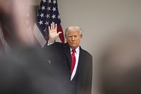 В Европе назвали торговую сделку с США капитуляцией