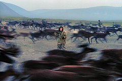 В &laquo;Роснефти&raquo; рассказали о проектах по поддержке коренных народов Сибири и Дальнего Востока