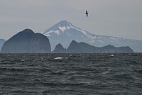 Владивосток сдвинулся после землетрясения на Камчатке