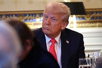 30-минутная встреча лидера Швейцарии с Трампом обернулась катастрофой. В Европе не понимают, что от них хочет Белый дом