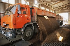 Альфа-Банк профинансирует строительство завода по глубокой переработке зерна