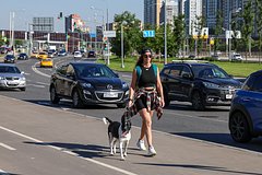Аномальную погоду в Москве объяснили