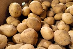Цены на картофель начали снижаться