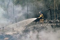 Часть россиян предупредили об аномальной жаре