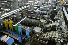 Цунами уничтожило все оборудование рыбзавода &laquo;Алаид&raquo;