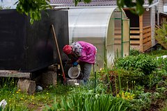 Дачникам назвали простой способ прогнать вредителей с участка