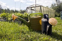 Дачникам разрешили собирать урожай соседей при одном условии