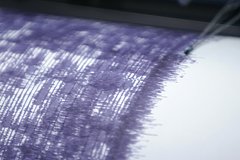 Два мощных землетрясения произошли в российском регионе