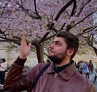 &laquo;Эти альфа-самцы взорвались&raquo;. Трамп и Маск публично поссорились. Что привело их к вражде и чем это грозит президенту США?