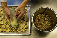 ФАО назвала самый подорожавший продукт питания