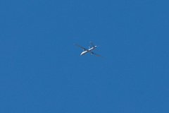 Израильский беспилотник атаковал объекты газового месторождения в Иране
