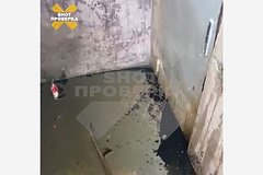 Квартиры россиян затопило фекалиями