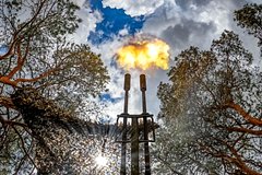 Медведев назвал реалиями на земле наступление ВС России в Днепропетровской области