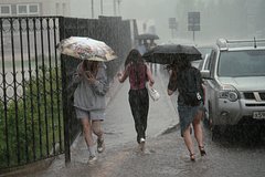 Московский климат приблизится к субтропикам