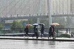 Москвичам назвали время прихода гроз