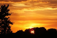 Москвичам пообещали жару