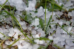 Москвичам рассказали о мерах безопасности при смертельно опасном граде