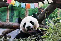 Мужчина спас из пожара сопротивляющуюся слепую соседку