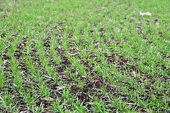 На ЦИПР представили AI-систему восстановления земель