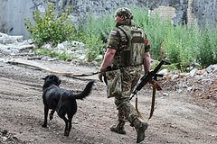 На Украине признали значимость потерянного села в Харьковской области