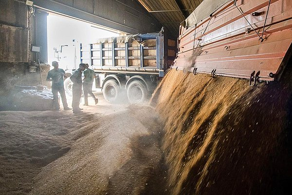 Национализация. Суд подтвердил решение об изъятии бизнеса Петра Ходыкина в пользу государства. Есть ли варианты?
