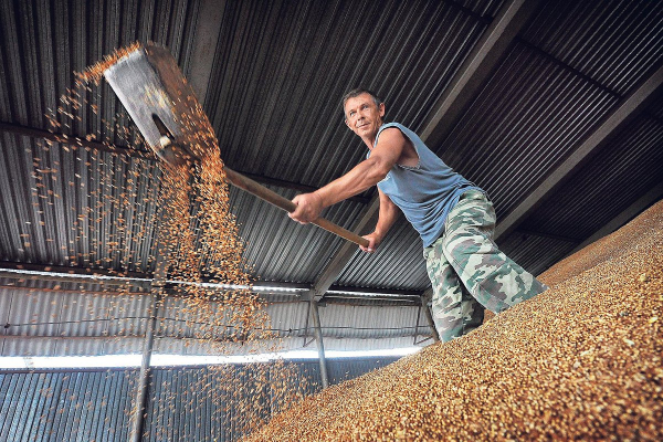 Национализация. Суд подтвердил решение об изъятии бизнеса Петра Ходыкина в пользу государства. Есть ли варианты?
