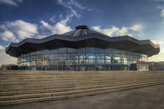 Названа причина падения эфиопского гимнаста в Большом Московском цирке