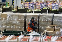 Названы последствия ухода главы ФРС в отставку для мировой экономики