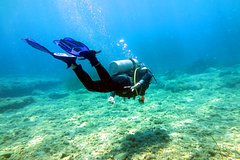 Ныряльщик заблудился и прожил под водой пять дней