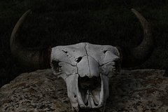 Отец перебежчика Герасимова пригрозил черной магией критикам сына