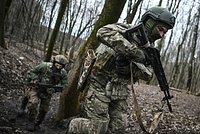 Переговоры с Киевом, встреча с Зеленским и позиция Трампа: о чем говорил Путин на встрече с руководителями мировых информагентств