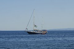 Перехваченное судно с Гретой Тунберг прибыло в Израиль