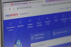 Проект о создании кнопки безопасности на &laquo;Госуслугах&raquo; внесут в Госдуму