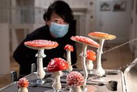 Россиян предупредили о повышающих риск теплового удара продуктах