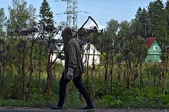 Россиян предупредили о штрафах до 50 тысяч за одно растение на даче