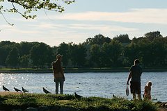 Россиян предупредили о вирусах страшнее холеры в водоемах