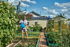Россиянам назвали способ превратить дачу в &laquo;золотую жилу&raquo;